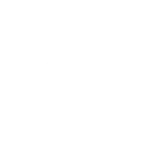 Circular Saws