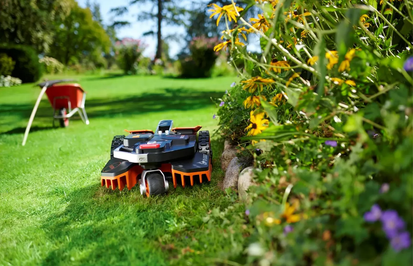 Worx Landroid cutting close to the edge of a lawn