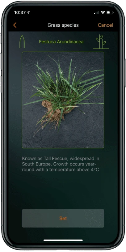 Grass settings view 2